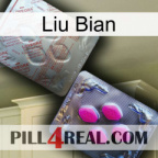 Liu Bian 38